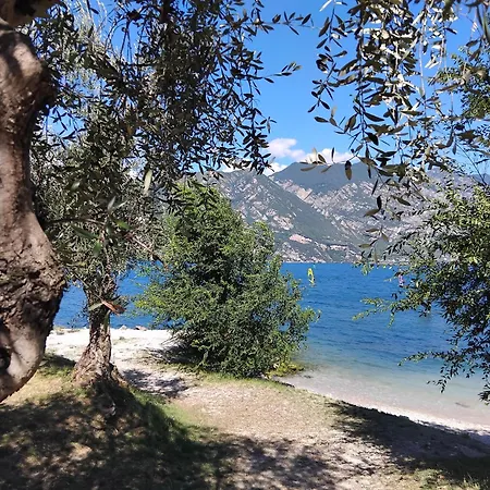 Panoramic View & Garden Apartment Malcesine