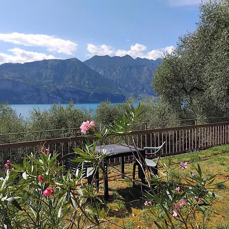 Panoramic View & Garden