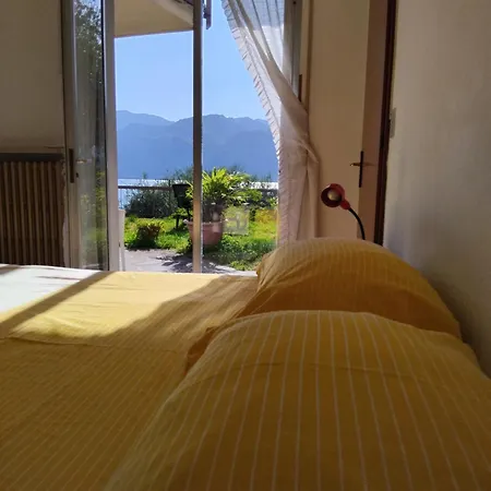 Panoramic View&garden *