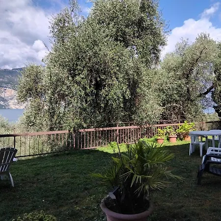 Panoramic View & Garden *
