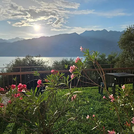 Panoramic View & Garden